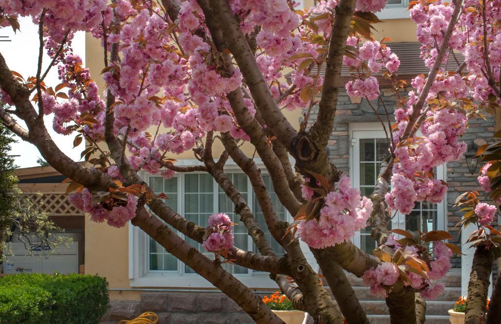 Villa Inn No.21 Seaside Čching-tao Exteriér fotografie